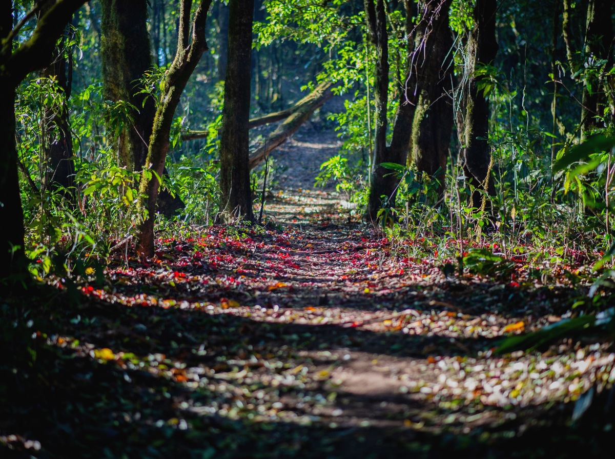 Cuidar lo que visitamos, respetar a quien nos recibe